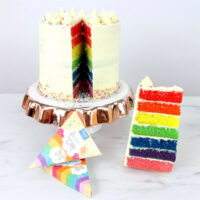 PME Rainbow Cake Kleurstof Paste Set/7